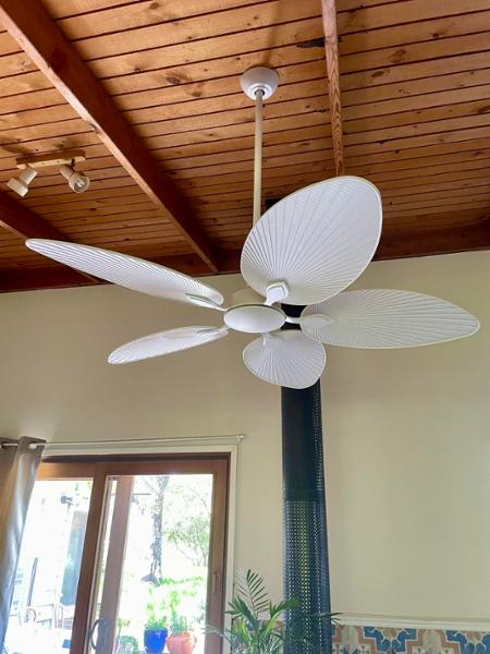 Love this fan!