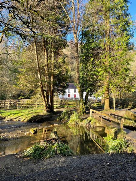 Beautiful cosy hideaway in a wooded valley.