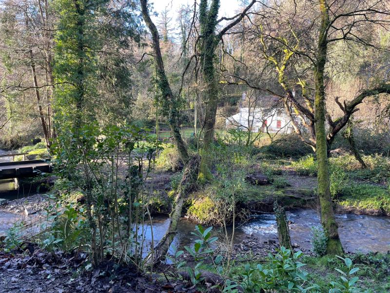 Beautiful cosy hideaway in a wooded valley.