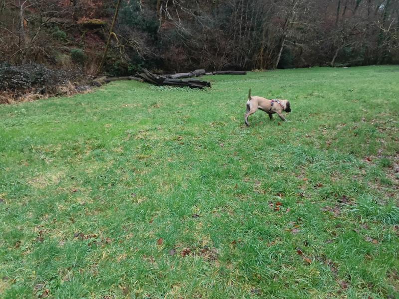 Playing and laughing in  Cornish Liquid Sunshine
