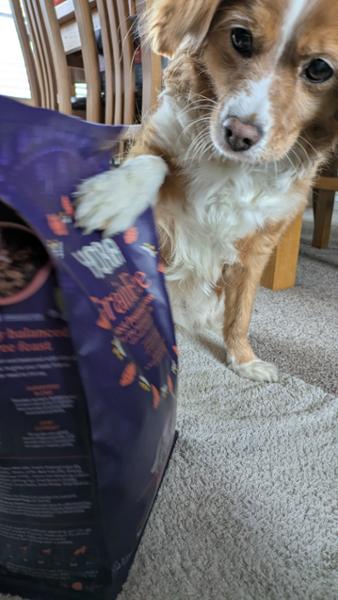 Yora Adult Grain Free Dog Food