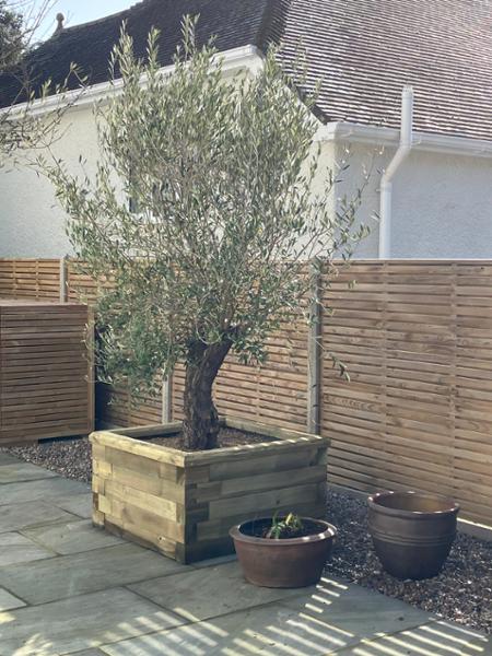 Raised Bed - Design Your Own Shape & Size | Modular Wooden Raised Beds by WoodBlocX