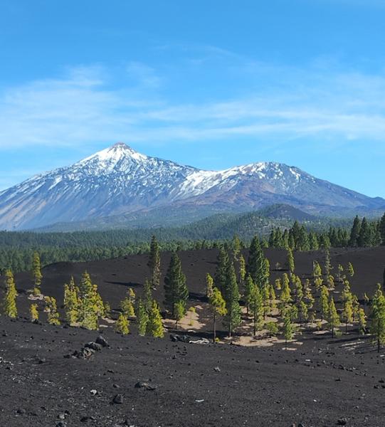Your holiday: Walk the Trails of Tenerife