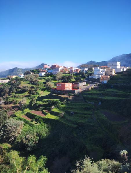 Your holiday: Walk the Trails of Tenerife