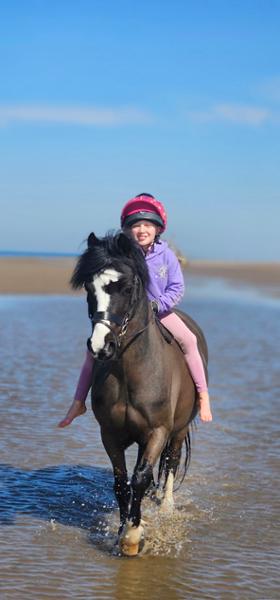 Pro Feed Balancer