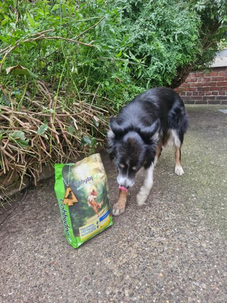 Great dog food and service from a highly rated UK-based company