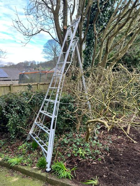 New ladder