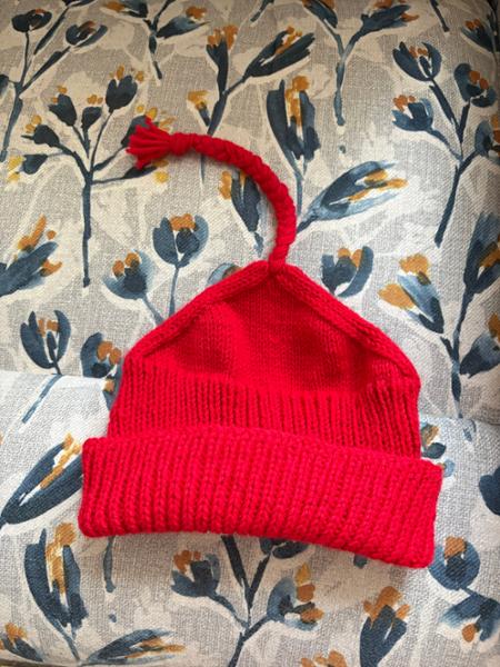 Red ICE protest hat