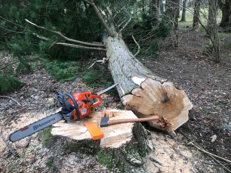 Great saw