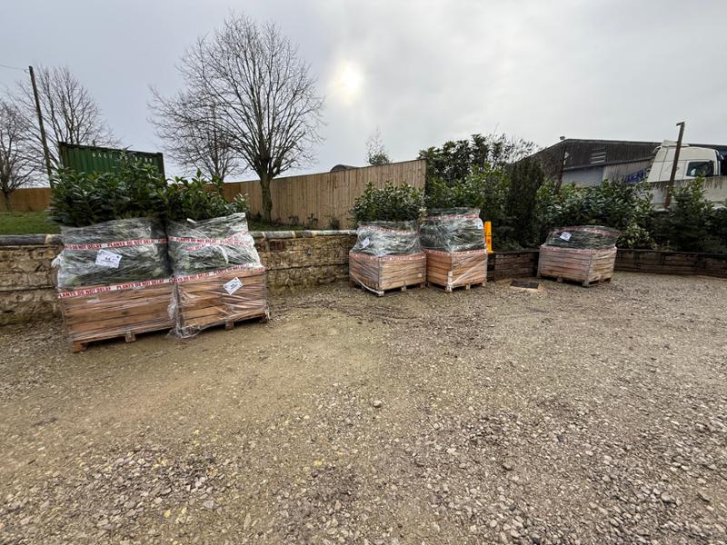 A positive after our usual supplier went into administration.
