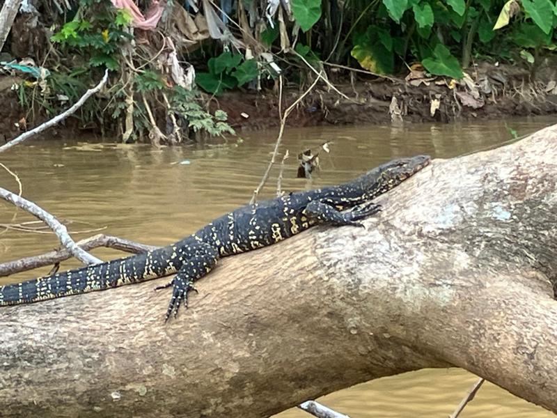 Sri Lanka