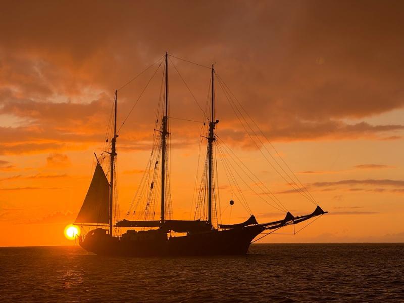 Bliss on Blue Clipper