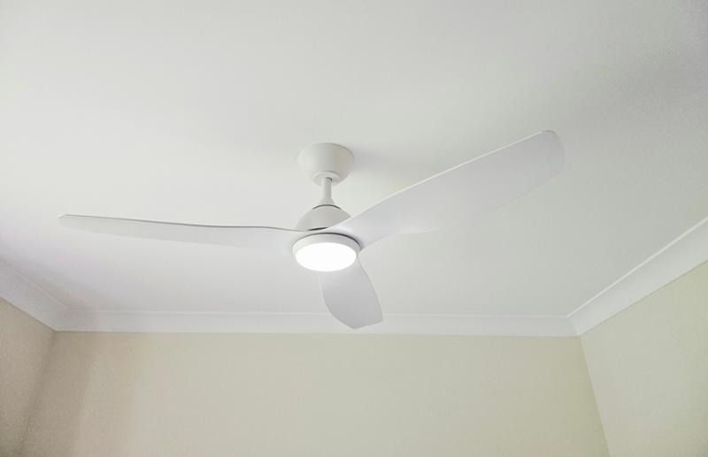 I love my fan from Fans Online!