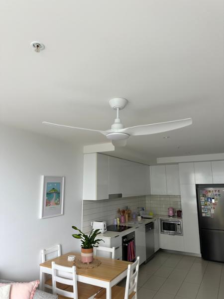 Great Ceiling Fans!