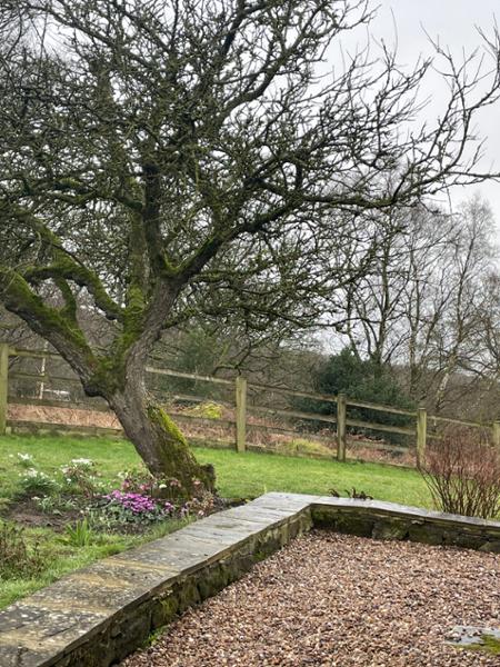 Perfect holiday cottage