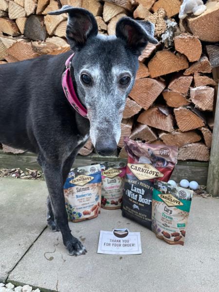 Salmon with Blueberries Crunchy Dog Treats