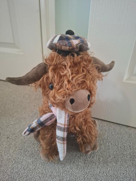 Who can resist a highland cow?