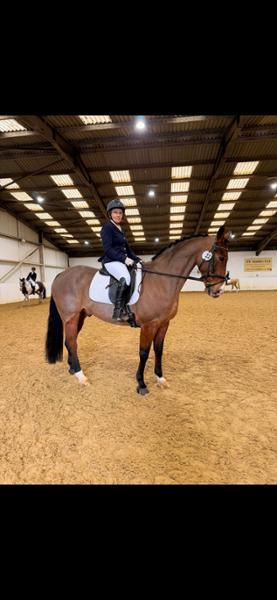 Helped with stiffness in back legs