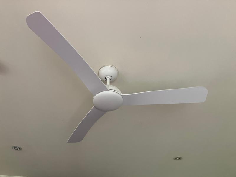 Ceiling fan