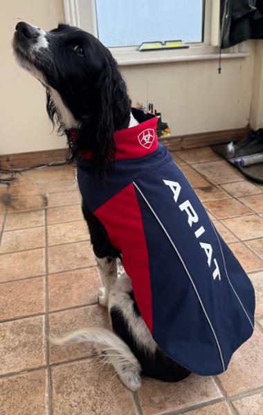 Ariat Team Softshell Dog Jacket -Team Navy-X Large