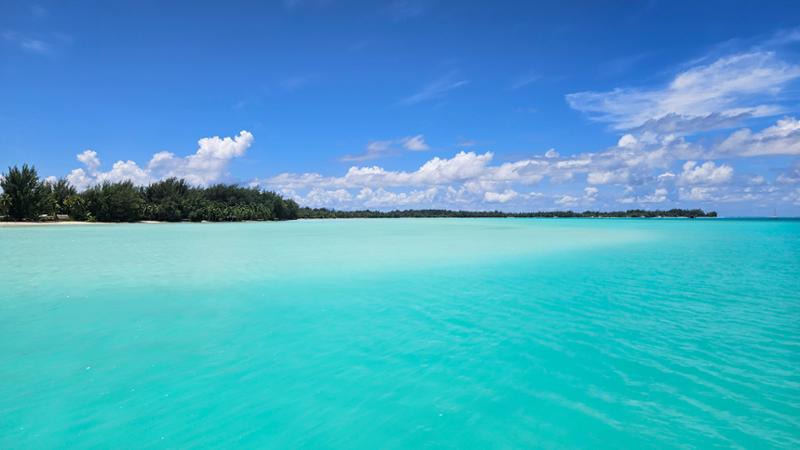 Trip to paradise!