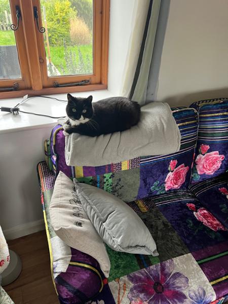 Quirky but beautiful sofa