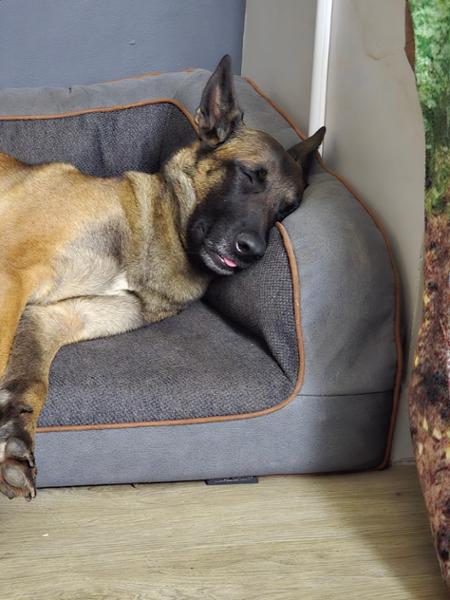 Sofa bed