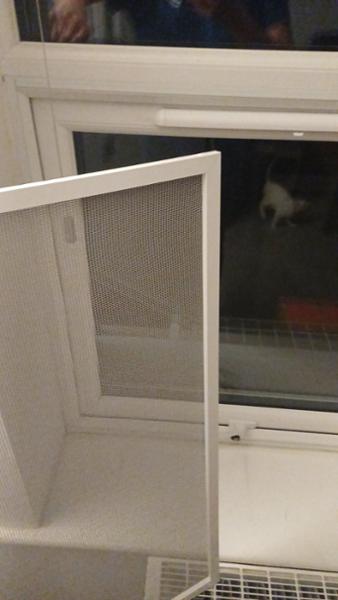 Magnetic Pet Screen