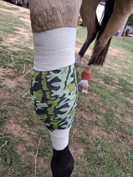 Cohesive Bandage
