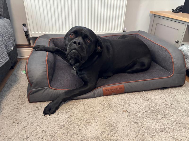 Highly recommended for Large Heavy Breeds