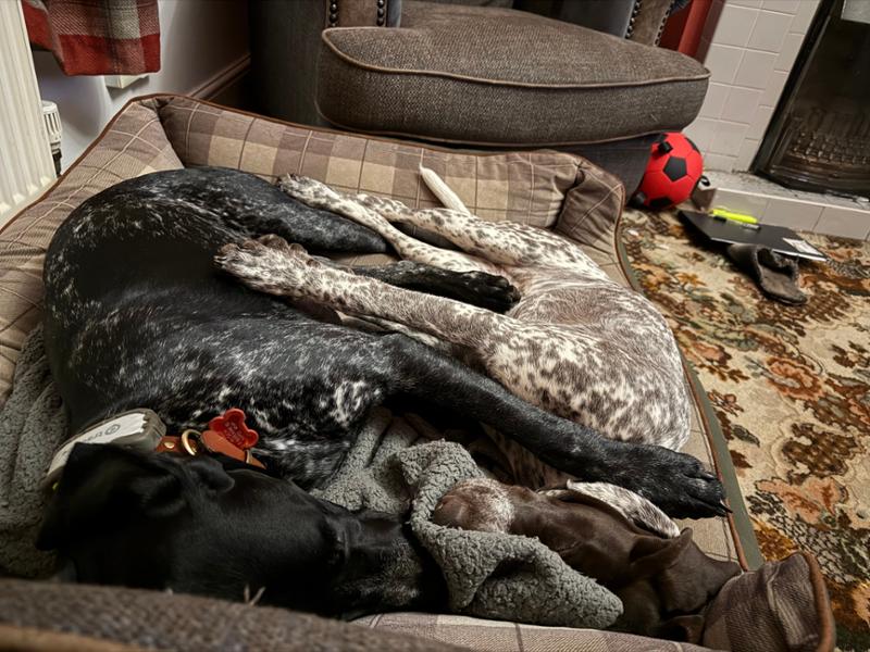 Brilliant service