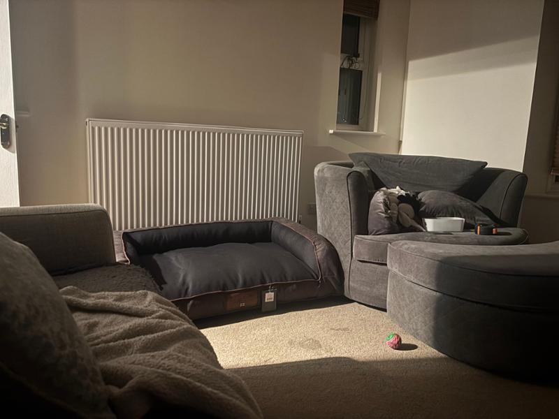 Comfortable stylish dog bed, easy to clean