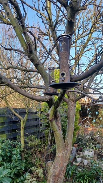 Bird seed feeders