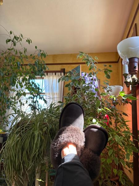 Womens Short Sheepskin Slipper Boot