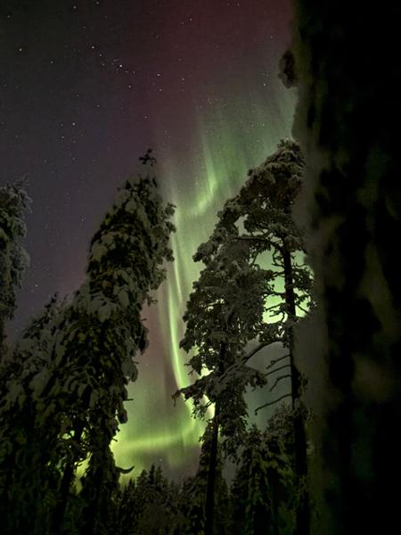 Northern Lights Village Pyhä - Fellside Aurora Quest