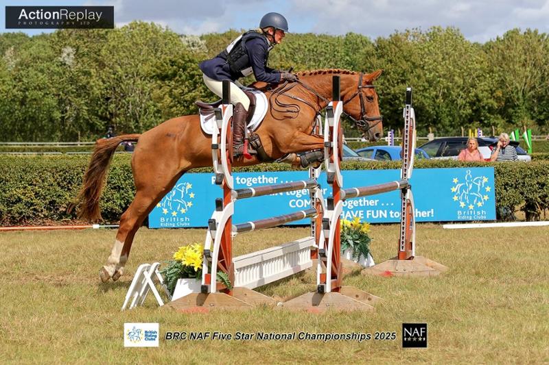 The best balancer for my senior eventer