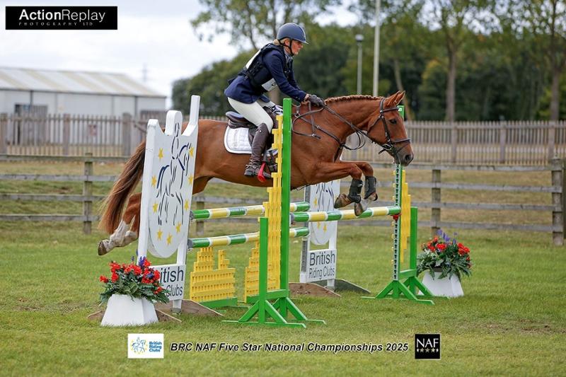 The best balancer for my senior eventer
