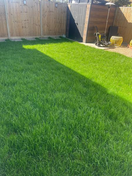 Lawn Turf from £2.59 per 1m2 - Garden Turf - Fresh Lawn Turf Rolls - Buy 10 - 1700+ Online
