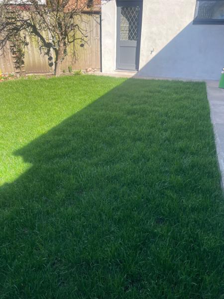 Lawn Turf from £2.59 per 1m2 - Garden Turf - Fresh Lawn Turf Rolls - Buy 10 - 1700+ Online