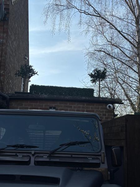 Pair of Artificial Olive Topiary Ball Trees 90cm | Classic And Timeless Appearance | Standard Olive Trees | Realistic Appearance | Entrance Doorway