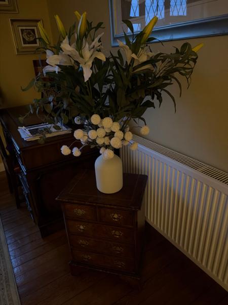 Beautiful lilies