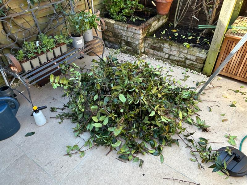 Great product for climbing plants.