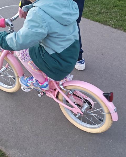 25 Point Spring Bike Check