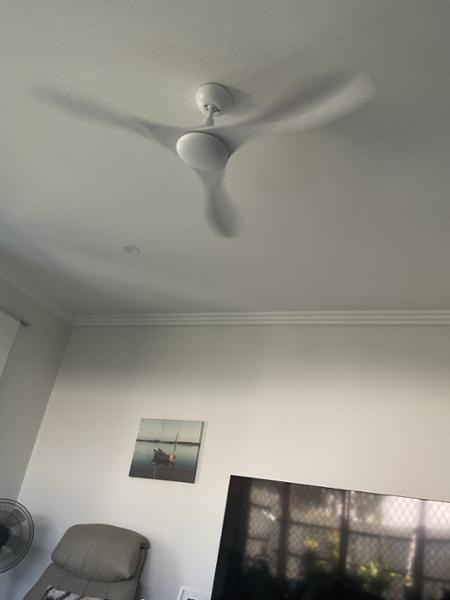 A very exciting ceiling fan