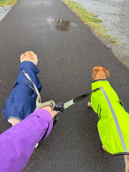 WEATHERBEETA COMFITEC REFLECTIVE PARKA 300D DELUXE DOG COAT YELLOW 60CM
