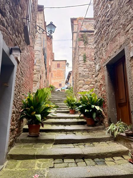 Private Rome to Florence Transfer Tour