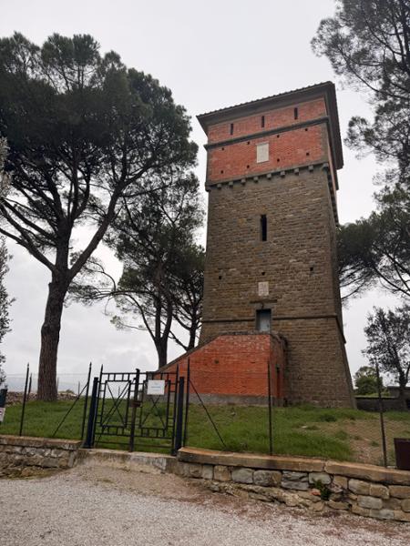 Private Rome to Florence Transfer Tour