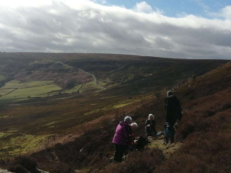 Whitby guided walks
