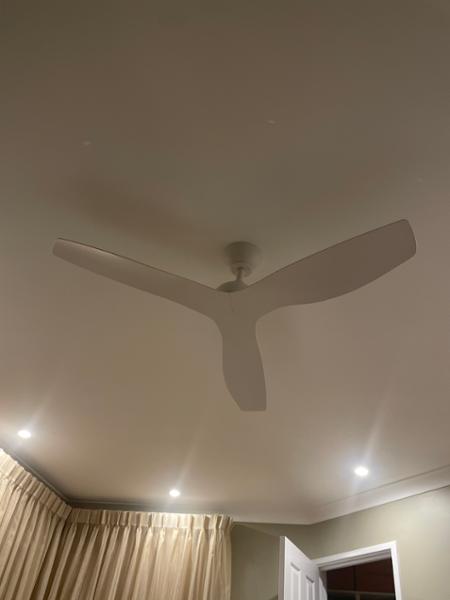 Great Fan. No regrets. Highly recommended