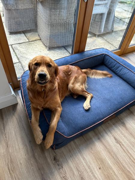 Best dog bed ever!